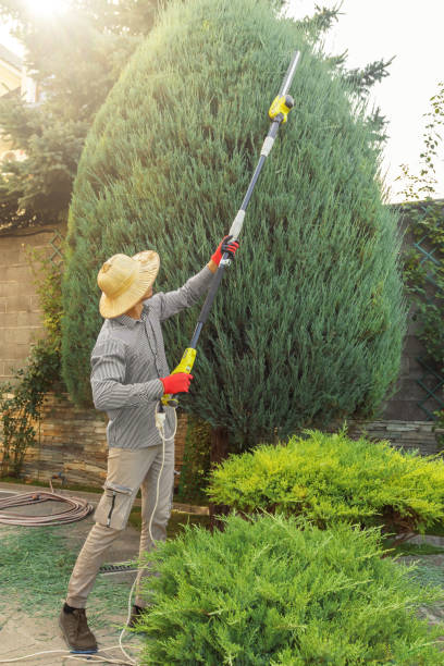 Lawn Irrigation Installation and Maintenance in Ballston Spa, NY